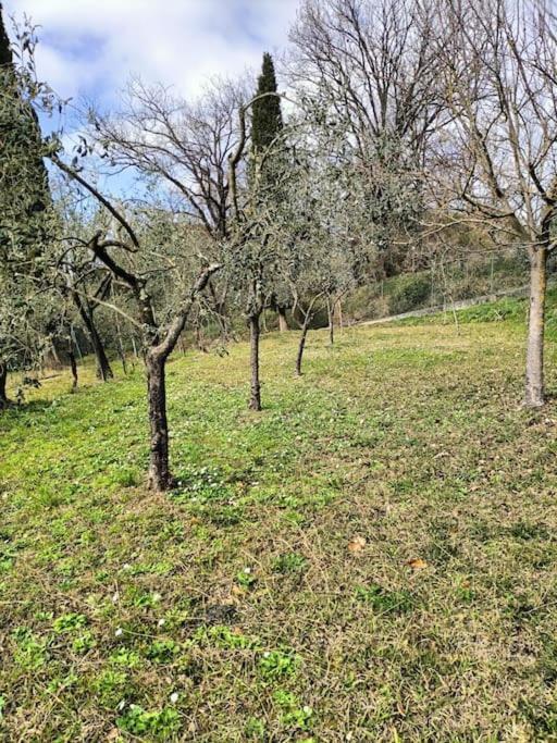 Locazione Turistica La Gesualda Apartment Кастелнуово Магра Екстериор снимка