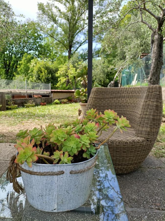 Locazione Turistica La Gesualda Apartment Кастелнуово Магра Екстериор снимка