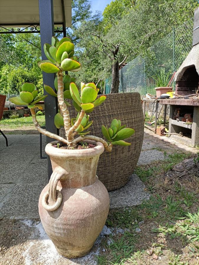 Locazione Turistica La Gesualda Apartment Кастелнуово Магра Екстериор снимка